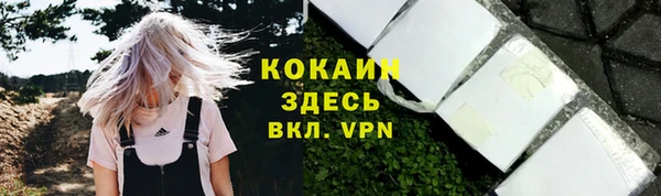 дживик Баксан