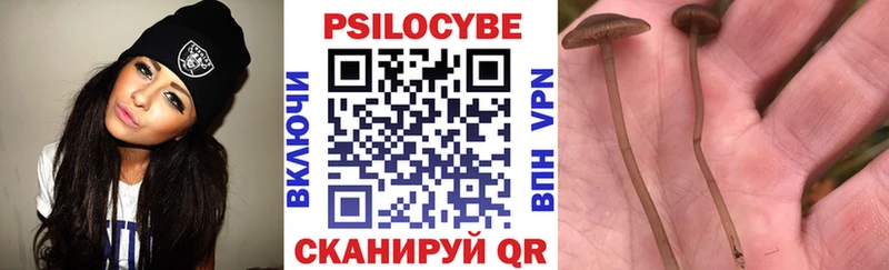 Купить закладки  Полесск  Псилоцибиновые грибы прущие грибы 